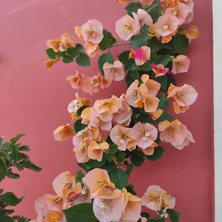 Stella Rossa בית נופש Áno Garoúna